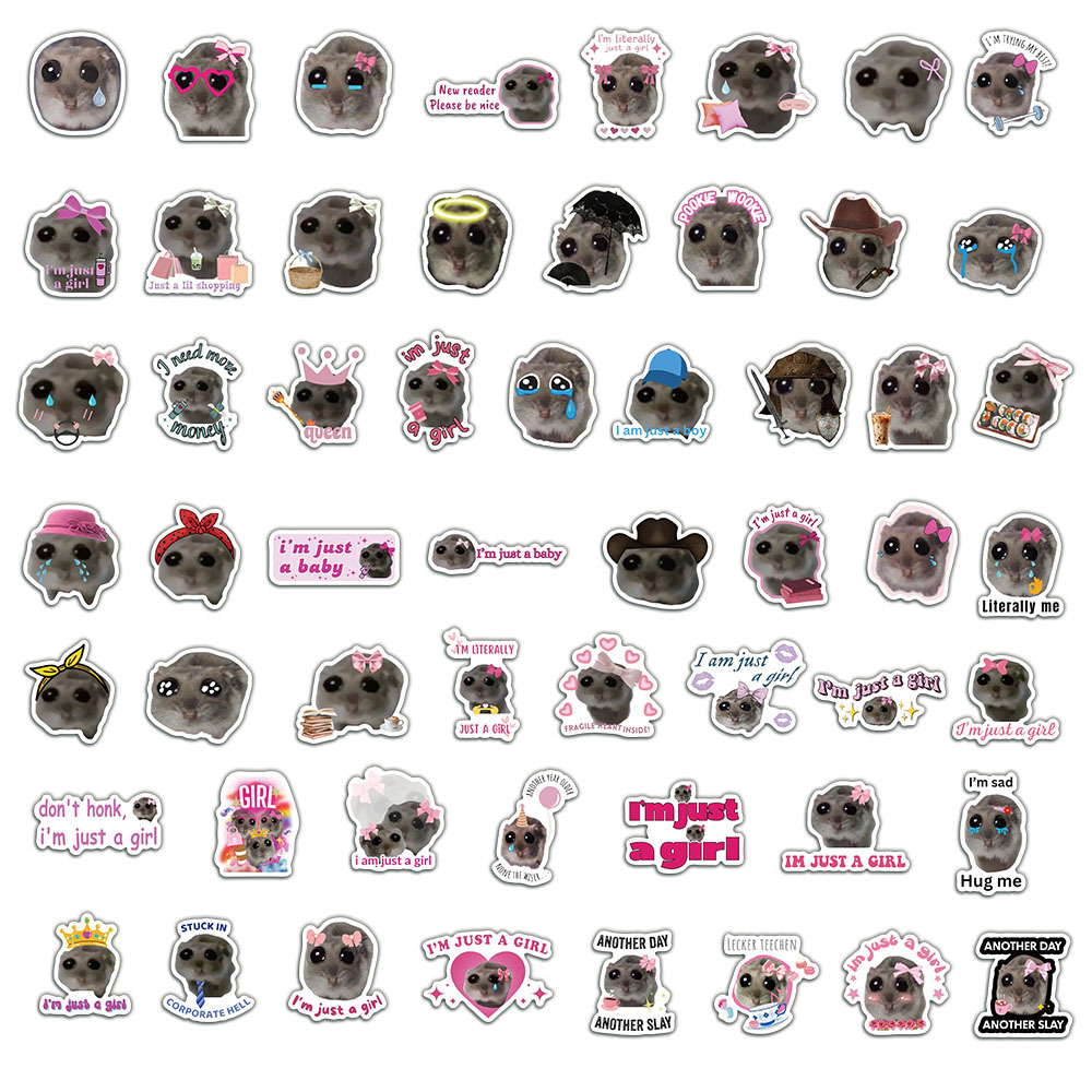 56pcs Cute Sad Hamster Meme St – обзор и цена Laptop Accessories Girly