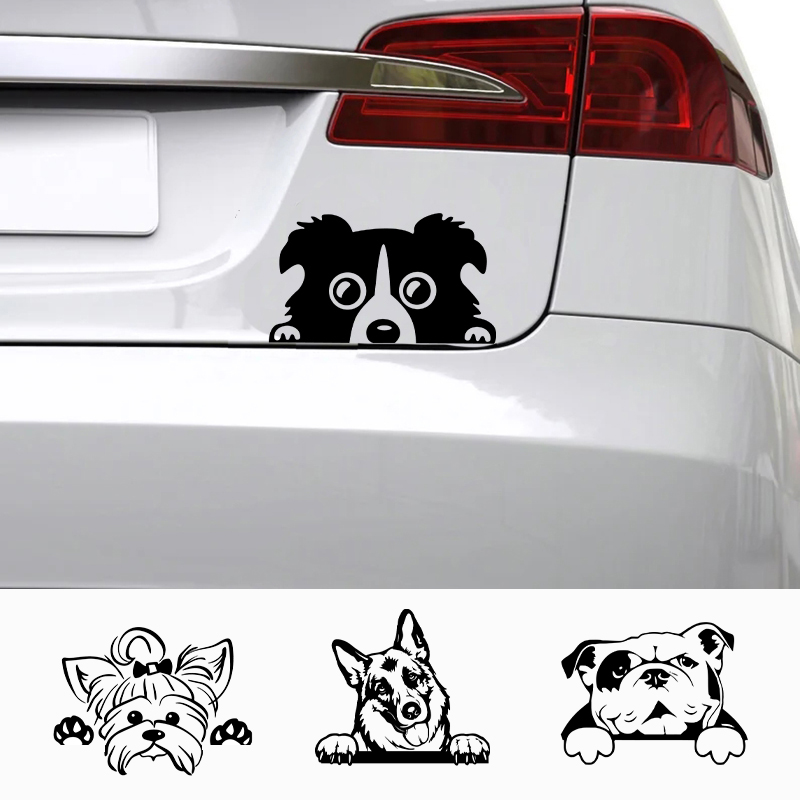Cars Accessorie Decals Funny D – обзор и цена Laptop Accessories Price